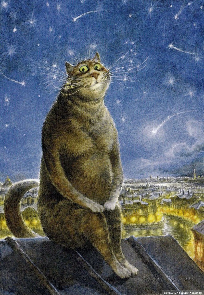 Петербургские коты! Прекрасны всегда! Особенно в марте