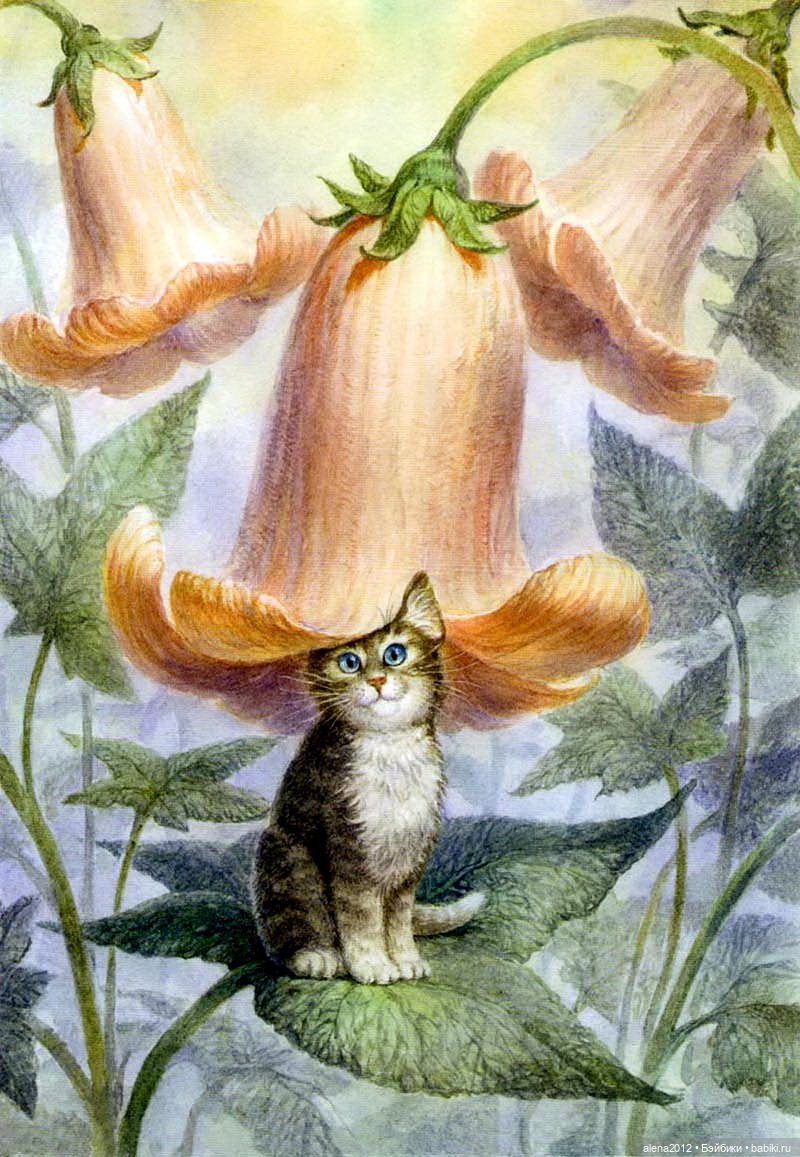 Петербургские коты! Прекрасны всегда! Особенно в марте