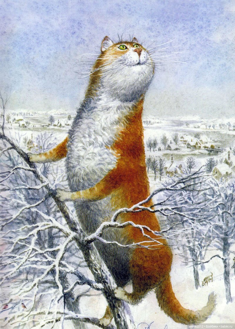 Петербургские коты! Прекрасны всегда! Особенно в марте