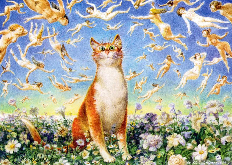 Петербургские коты! Прекрасны всегда! Особенно в марте