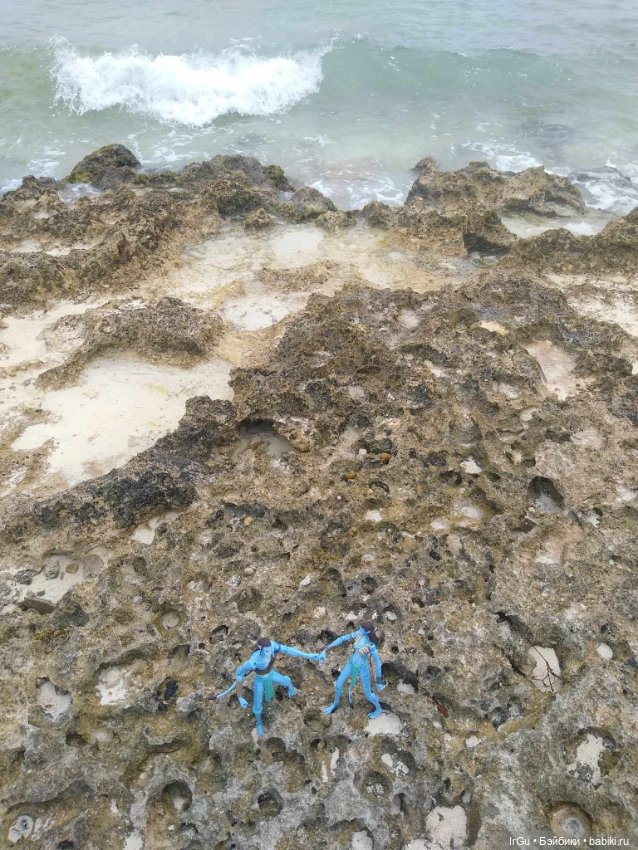 Кубинские каникулы Аватаров (фото 4)