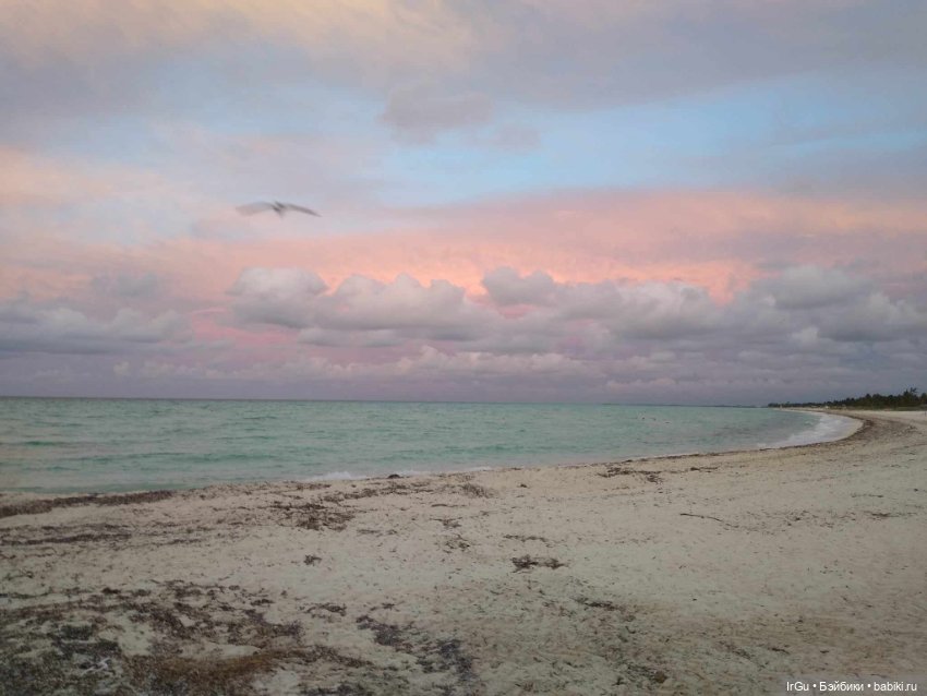 Кубинские каникулы Аватаров (фото 8)