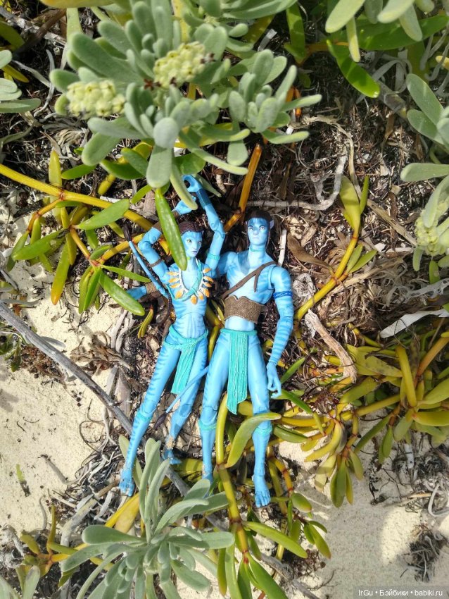 Кубинские каникулы Аватаров