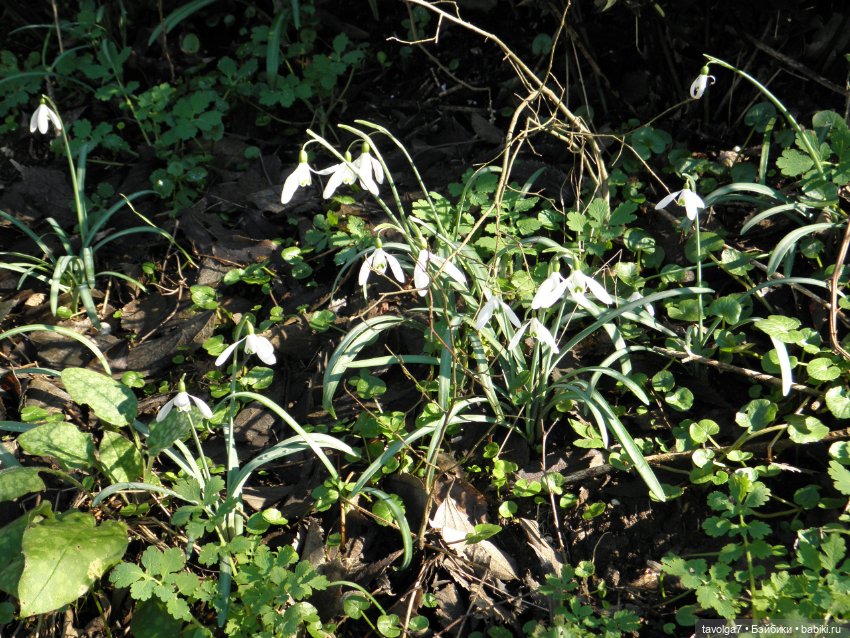 "Весна не нежная - хищная"