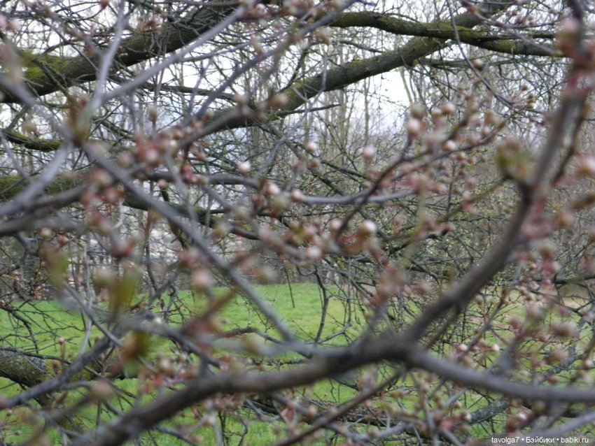 "Весна не нежная - хищная" (фото 10)