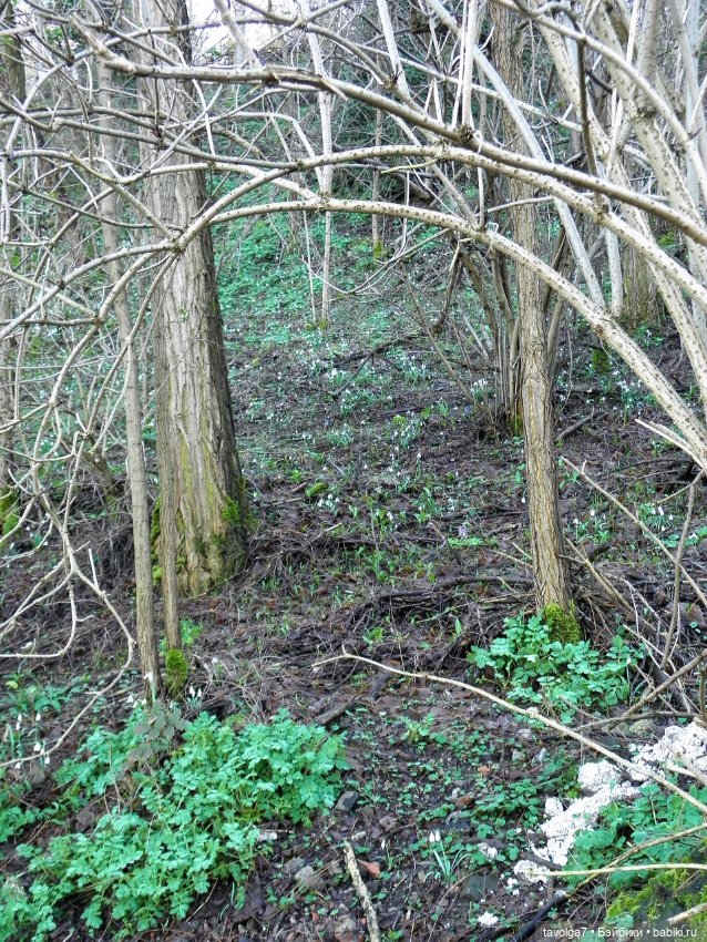 "Весна не нежная - хищная"