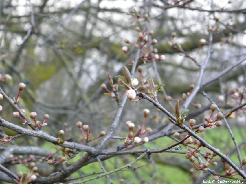 "Весна не нежная - хищная"