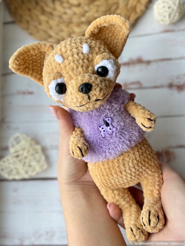 Малыш чихуашик😍 — Вязаные игрушки и амигуруми: крючком
