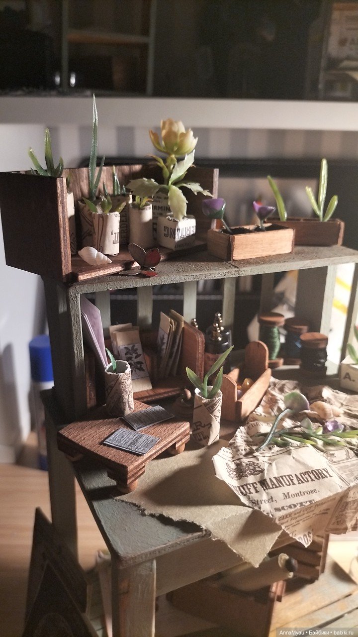 Рабочий стол колдуна ботаника