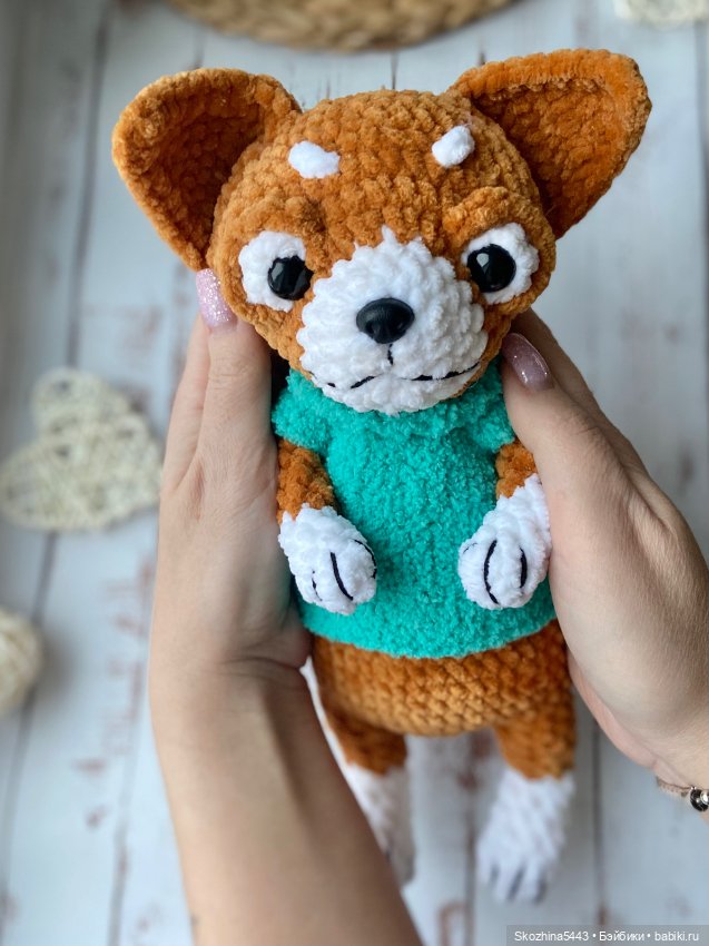 Новый малыш чихуа — Вязаные игрушки и амигуруми: крючком (фото 3)