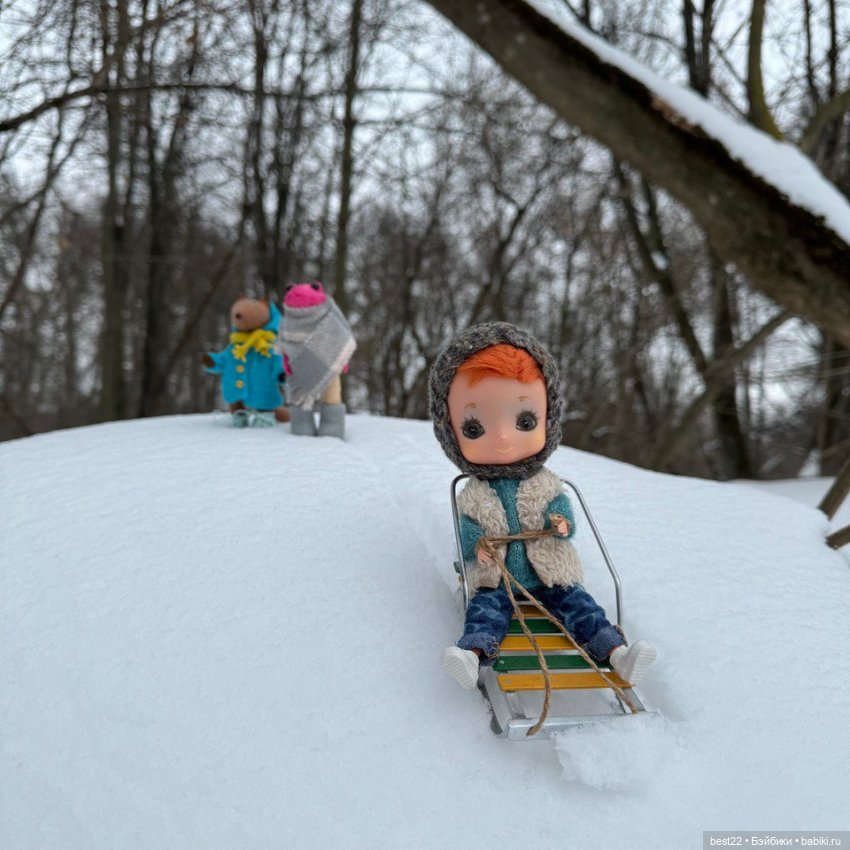Лизкина зима 2024 — Игровые куклы разных производителей (Разное): редкие бренды (фото 7)