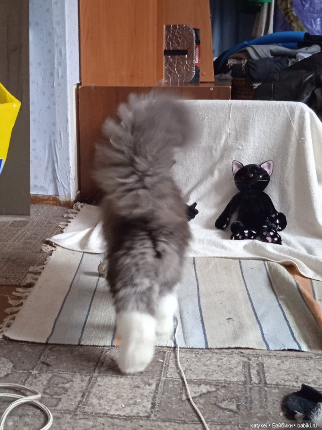 Мальчики большие и маленькие (23 февраля)