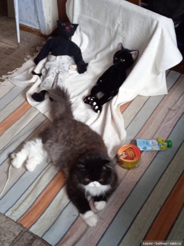 Мальчики большие и маленькие (23 февраля)