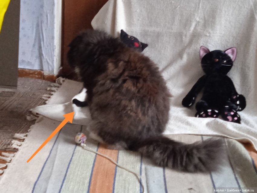 Мальчики большие и маленькие (23 февраля)