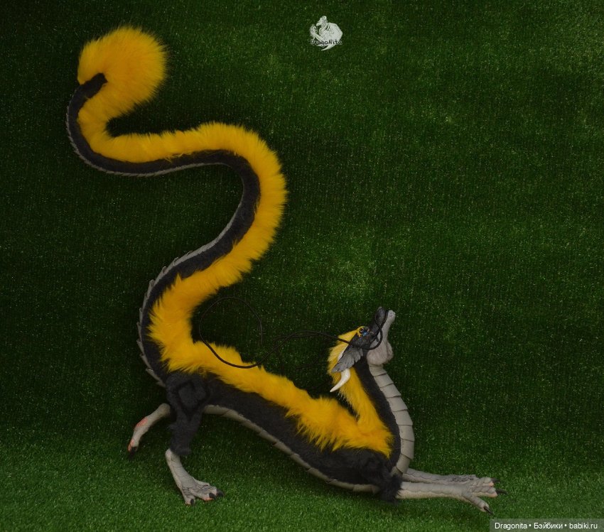 Восточный дракон Шинтару Такахаси