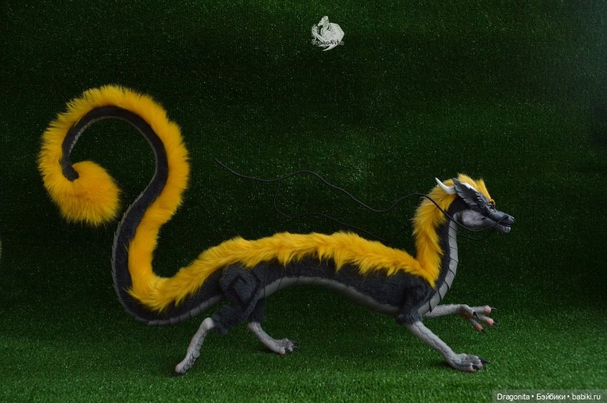 Восточный дракон Шинтару Такахаси