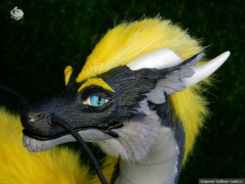 Восточный дракон Шинтару Такахаси