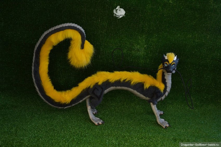 Восточный дракон Шинтару Такахаси