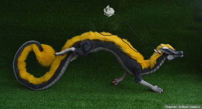 Восточный дракон Шинтару Такахаси