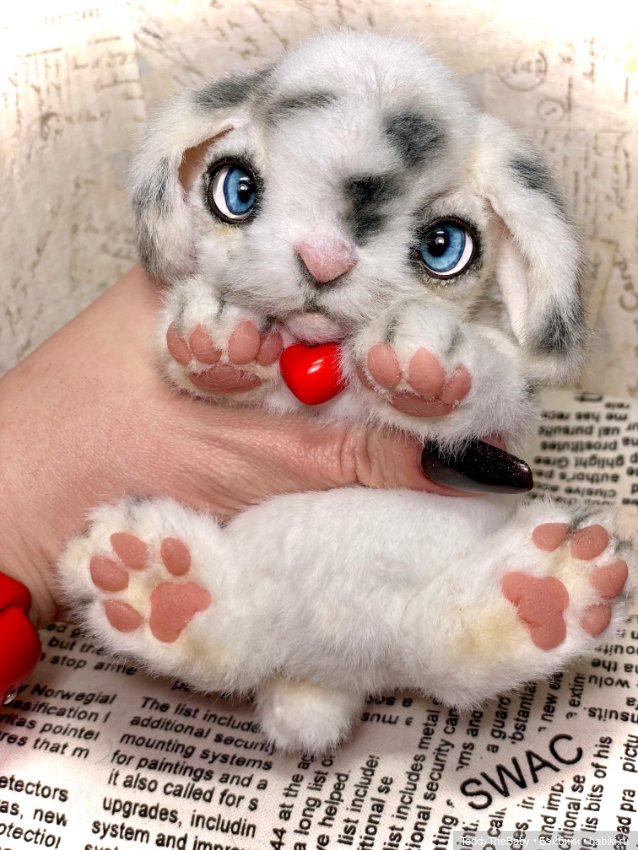 Fortune — Реалистичные игрушки и звери (Натюр): собаки