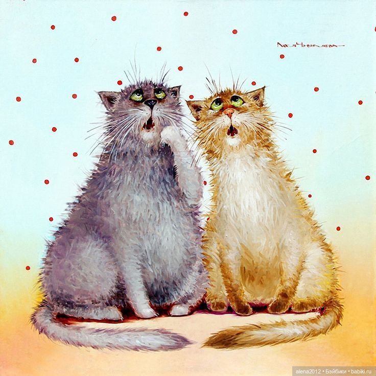 Люся Чувиляева и коты — Интересное и необычное: фотоподборки