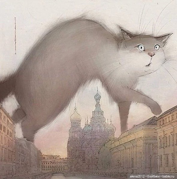 Люся Чувиляева и коты — Интересное и необычное: фотоподборки (фото 7)