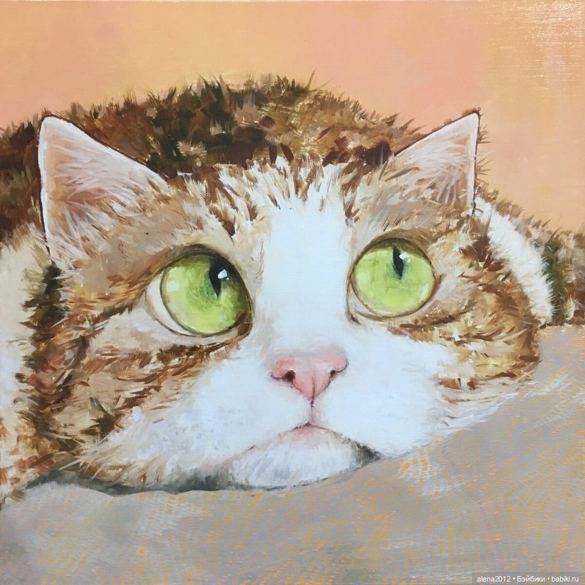 Люся Чувиляева и коты — Интересное и необычное: фотоподборки