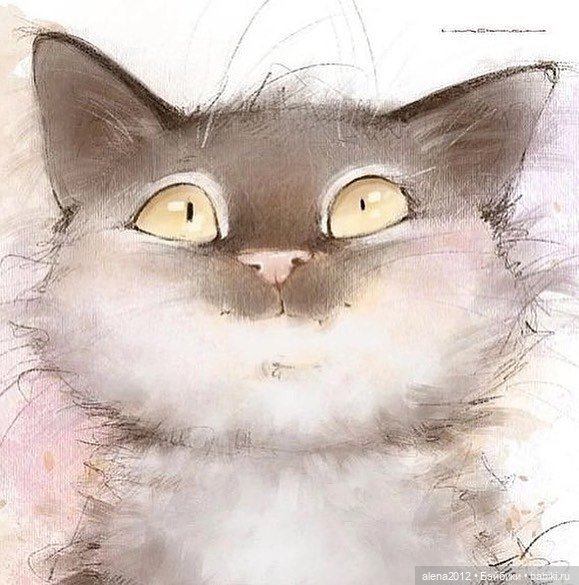 Люся Чувиляева и коты — Интересное и необычное: фотоподборки (фото 6)