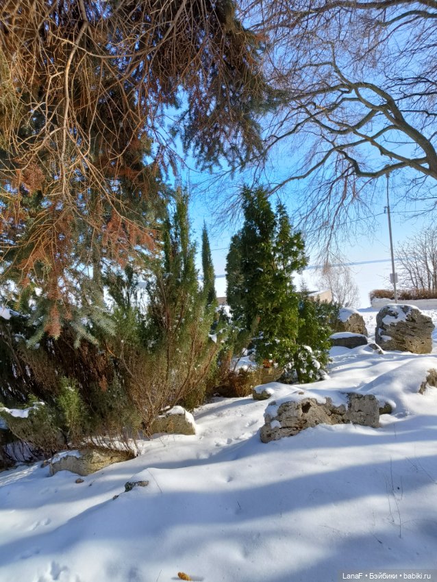 Зимняя сказка с Адора мини Adora mini