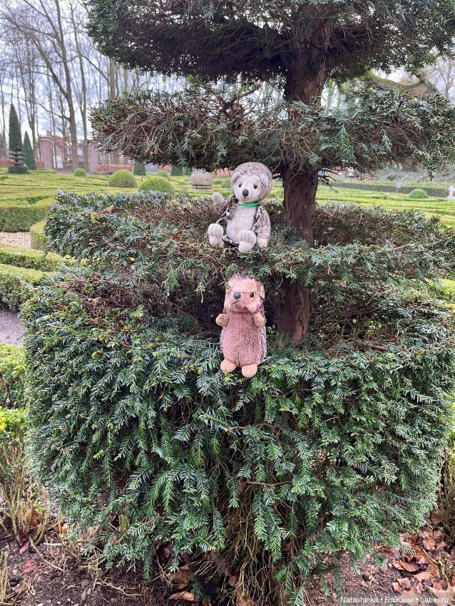 Музыкальная История 98 — Туризм и путешествия: фотоотчеты из поездок