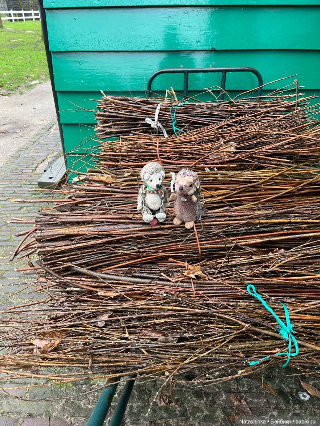 Музыкальная История 98 — Туризм и путешествия: фотоотчеты из поездок