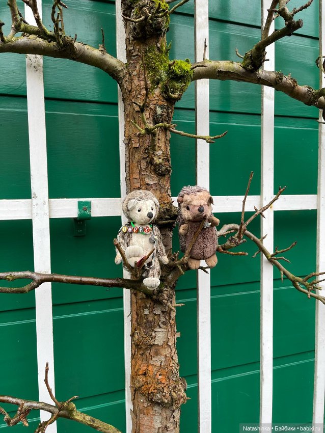 Музыкальная История 98 — Туризм и путешествия: фотоотчеты из поездок