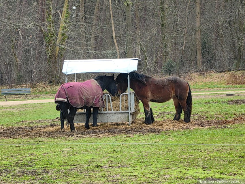 Музыкальная История 98 — Туризм и путешествия: фотоотчеты из поездок