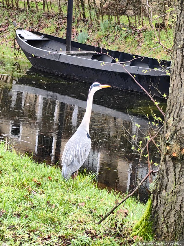 Музыкальная История 98 — Туризм и путешествия: фотоотчеты из поездок (фото 7)