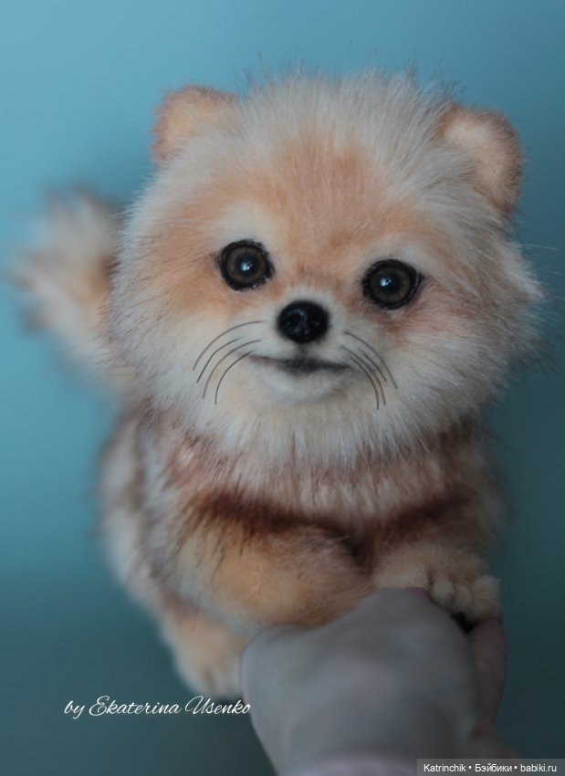 Игрушка Шпиц — Авторские мишки Тедди и друзья: фото (фото 3)