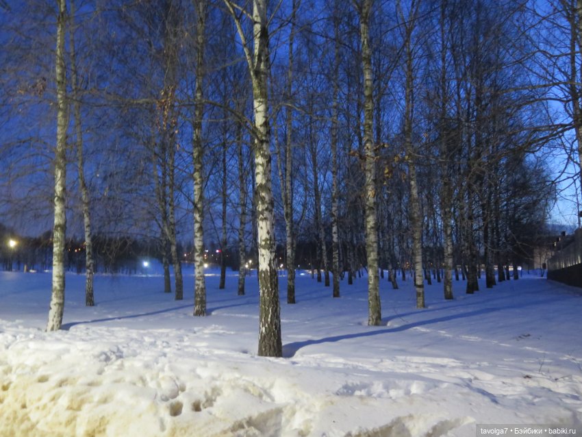 Предпоследний зимний день и Паола Лиу