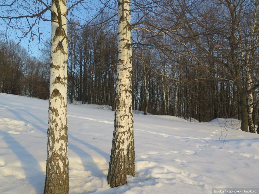 Предпоследний зимний день и Паола Лиу (фото 3)