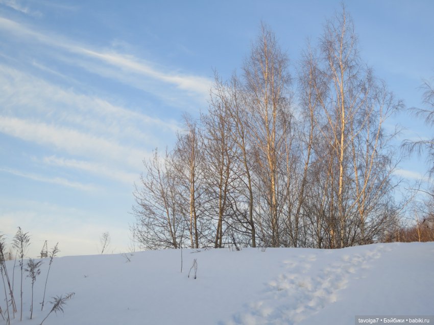 Предпоследний зимний день и Паола Лиу (фото 6)