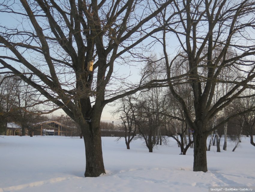 Предпоследний зимний день и Паола Лиу