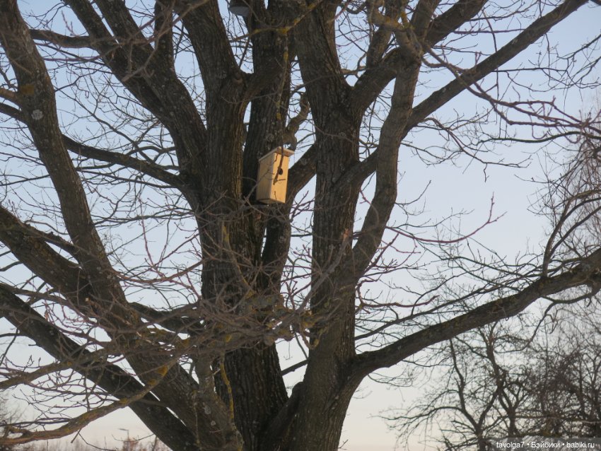 Предпоследний зимний день и Паола Лиу
