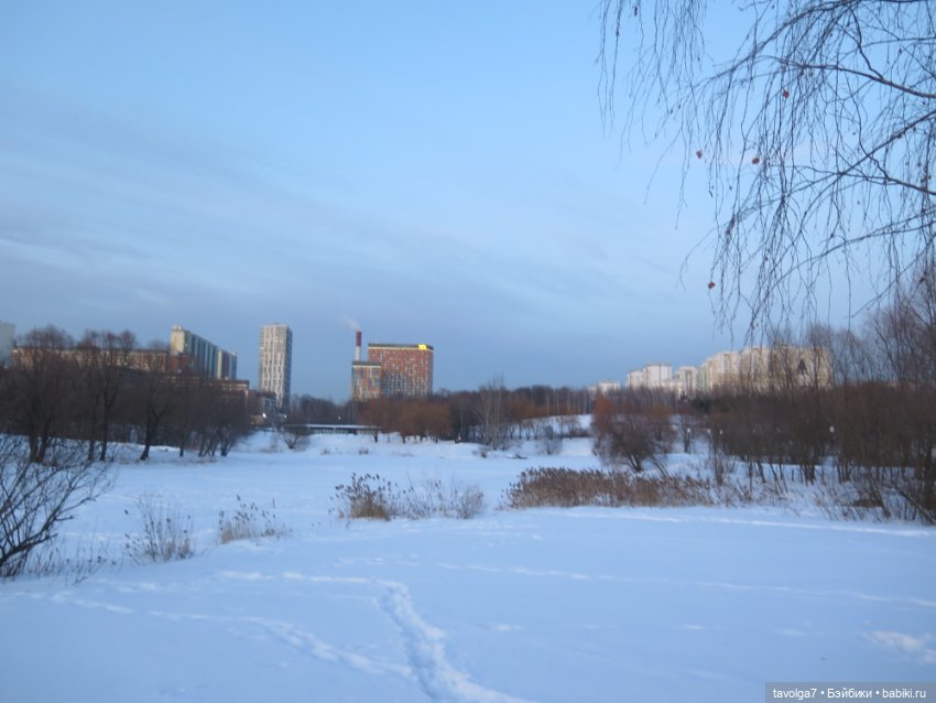 Предпоследний зимний день и Паола Лиу