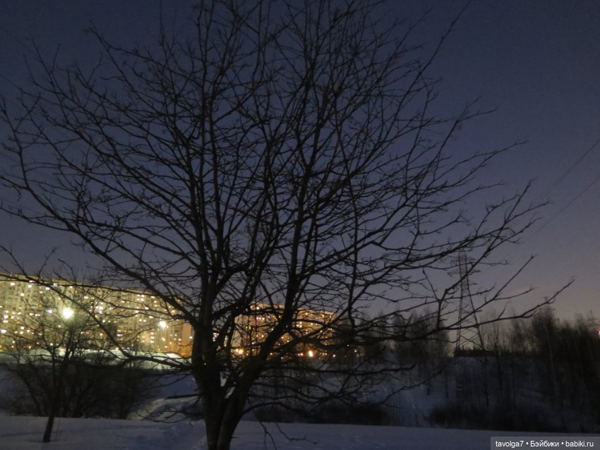 Предпоследний зимний день и Паола Лиу