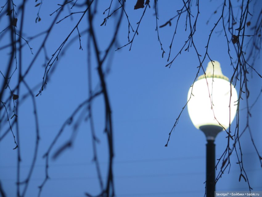 Предпоследний зимний день и Паола Лиу