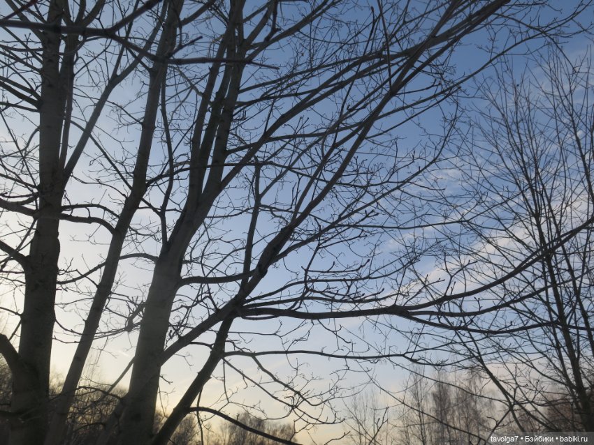 Предпоследний зимний день и Паола Лиу (фото 7)