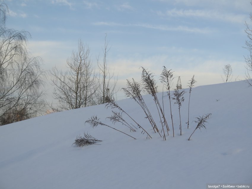 Предпоследний зимний день и Паола Лиу (фото 5)