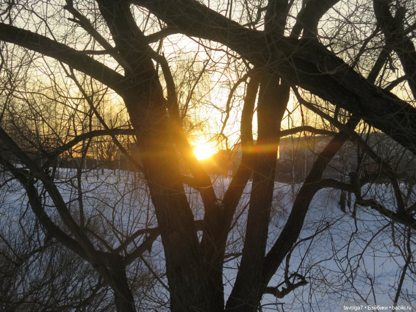 Предпоследний зимний день и Паола Лиу (фото 10)