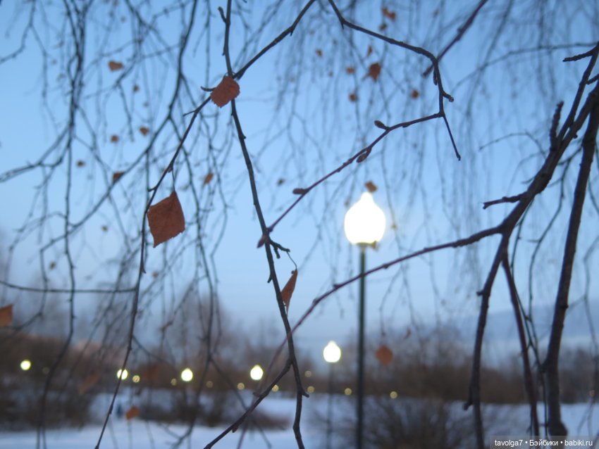 Предпоследний зимний день и Паола Лиу