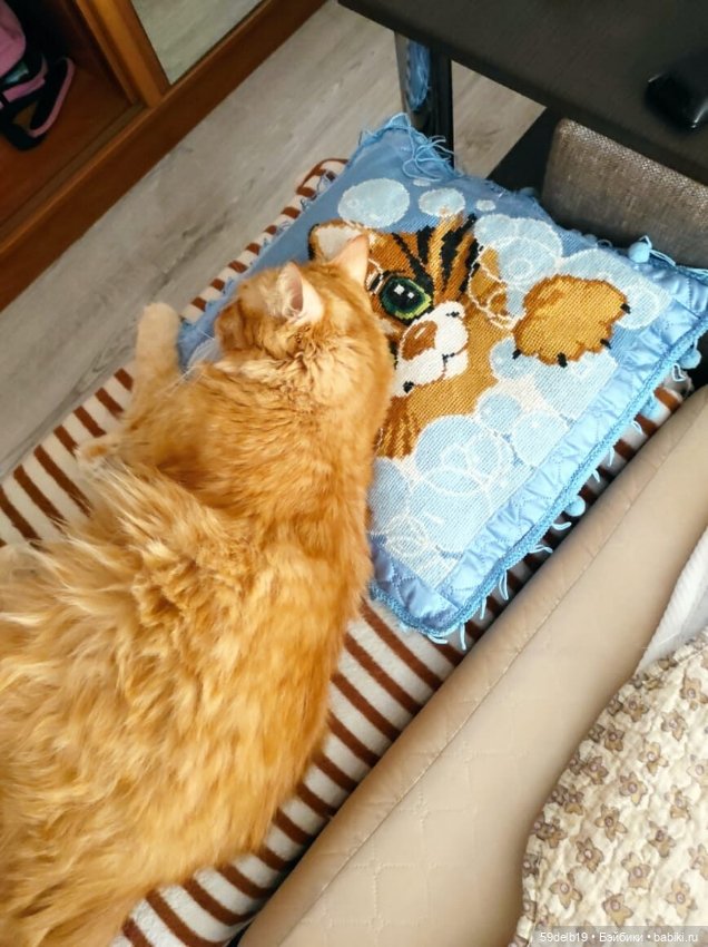 С Мур-Мур праздником всех