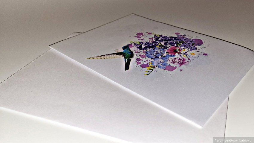 Маленькие радости — Интересное и необычное: фотоподборки (фото 2)