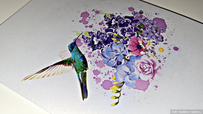 Маленькие радости — Интересное и необычное: фотоподборки (фото 6)